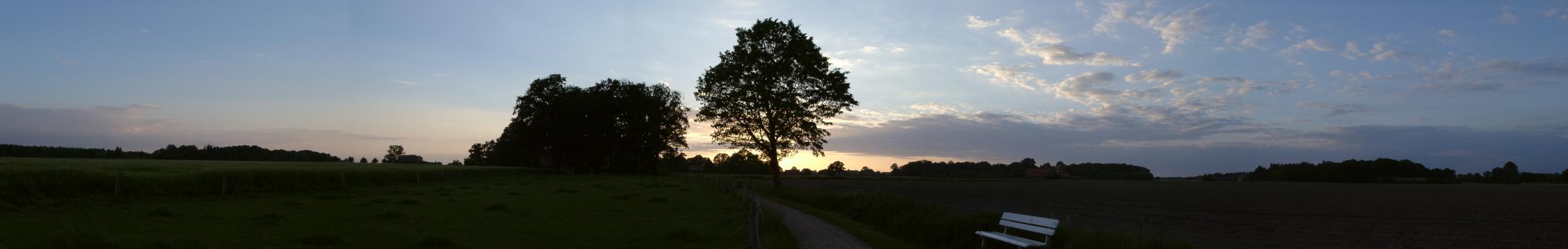 Baum